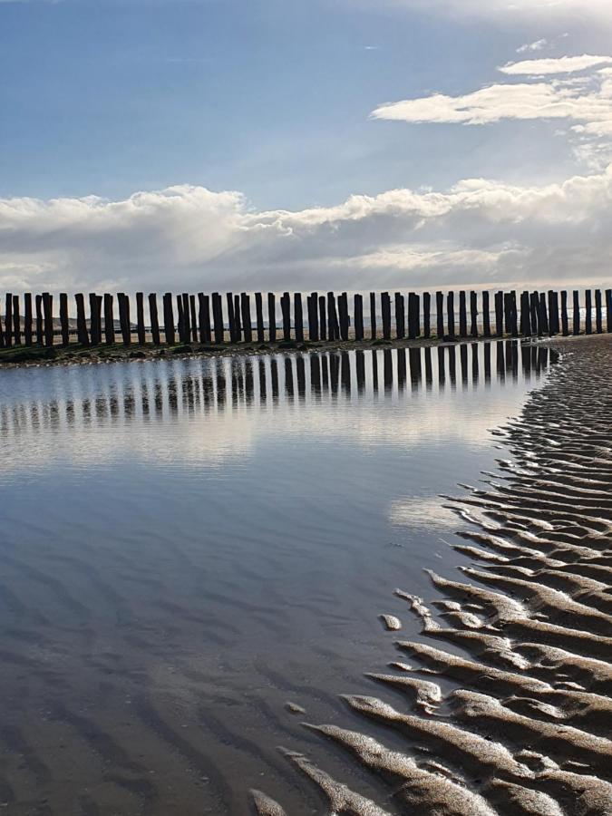 Beachhouse Zeewinde Заутеланде Экстерьер фото